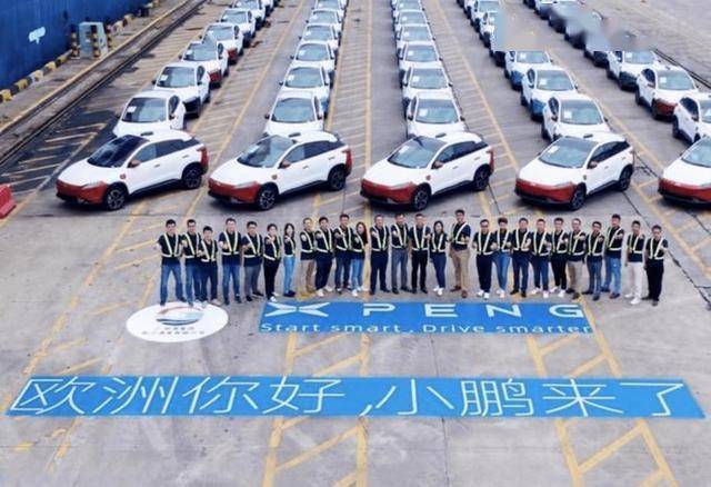 全球電動車滲透率第一的國家:比亞迪躋身前15,還有一個闖入前十