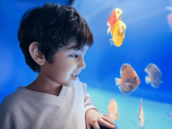 華為Mate X6微博之夜展現非凡影像,追星新神器強得飛起!