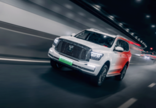 售價定位都相近 坦克500Hi4-Z和方程豹豹8誰更硬核?