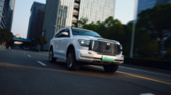 售價定位都相近 坦克500Hi4-Z和方程豹豹8誰更硬核?