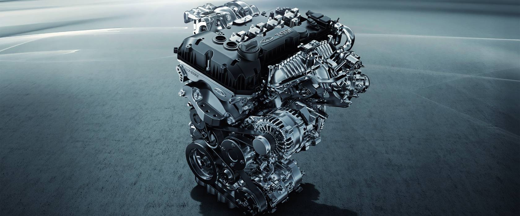 20250123_1737632047937185.jpg 7.jpg